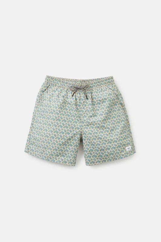 ASTER VOLLEY sold by Katin