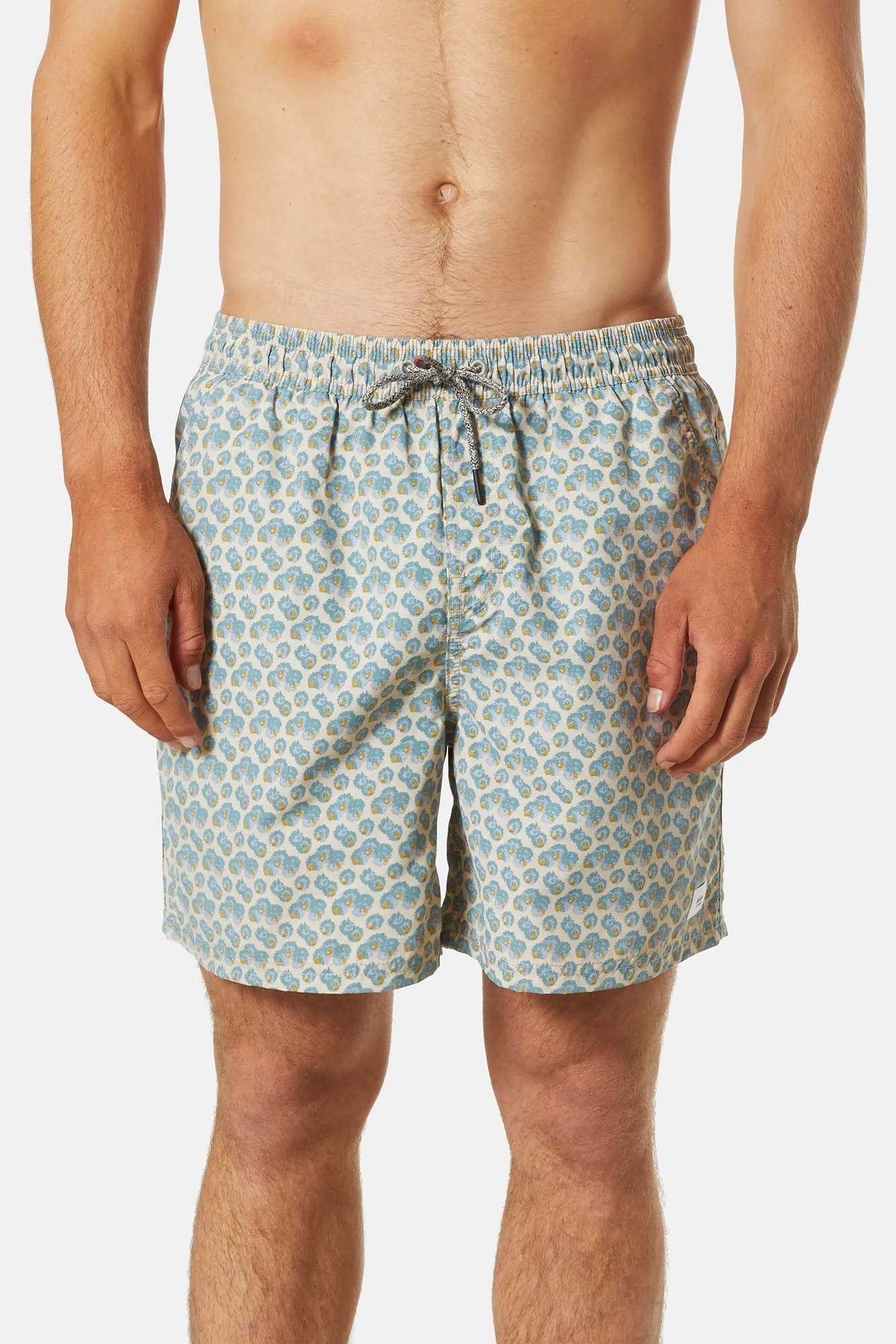 ASTER VOLLEY sold by Katin product image thumbnail 2