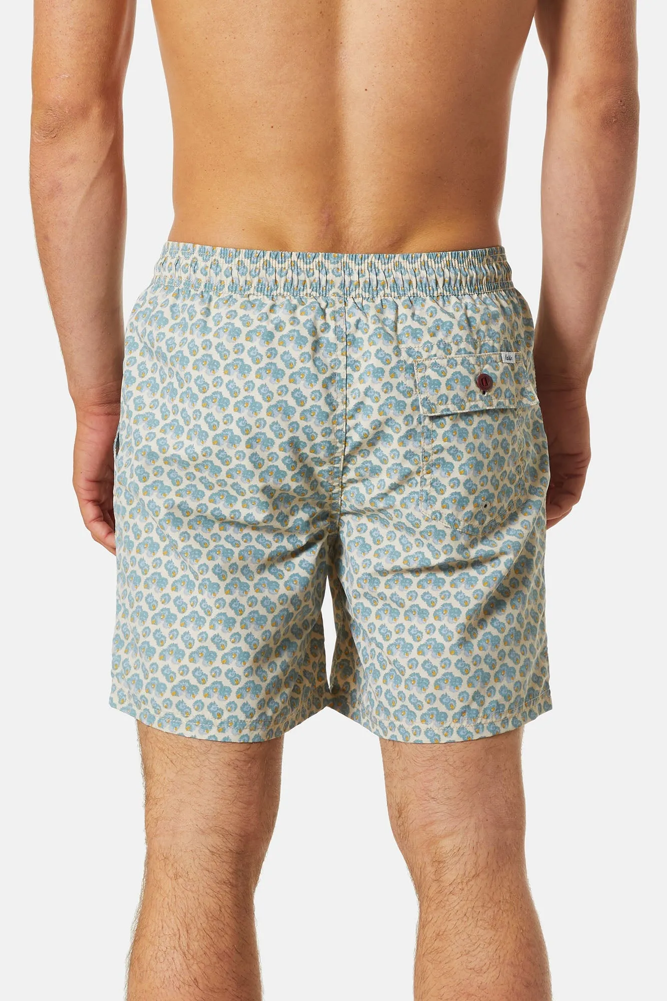 ASTER VOLLEY sold by Katin product image thumbnail 5