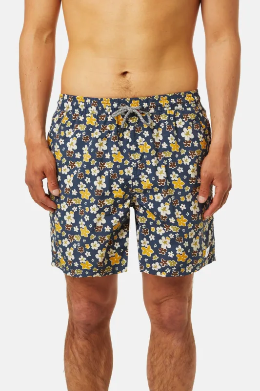 MEADOW VOLLEY sold by Katin