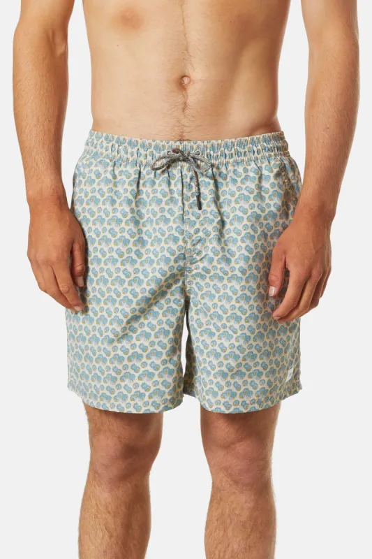 ASTER VOLLEY sold by Katin