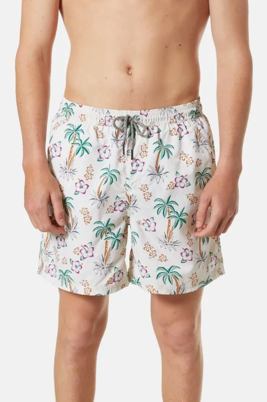 ARUBA VOLLEY sold by Katin