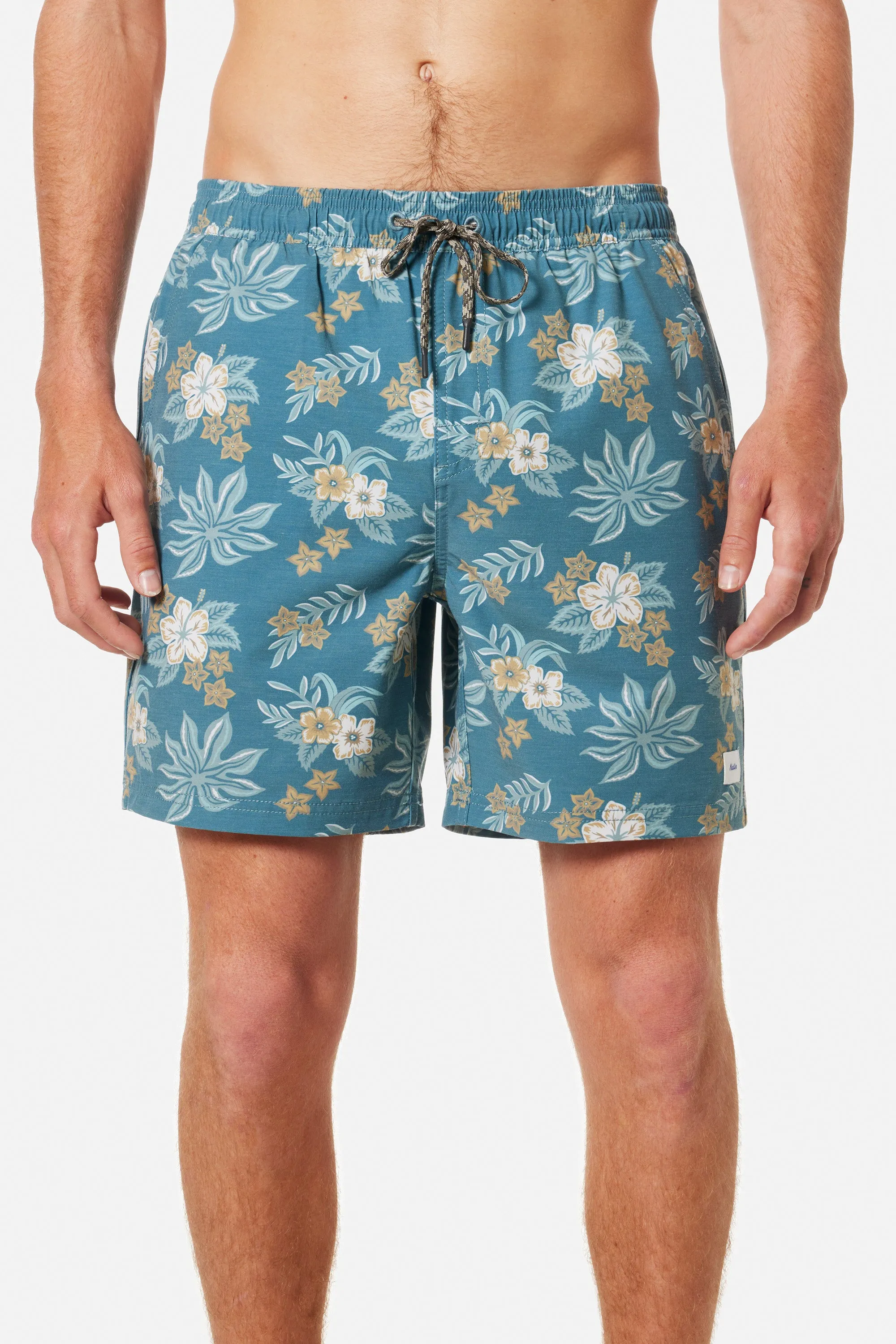 BENJI VOLLEY sold by Katin product image thumbnail 2