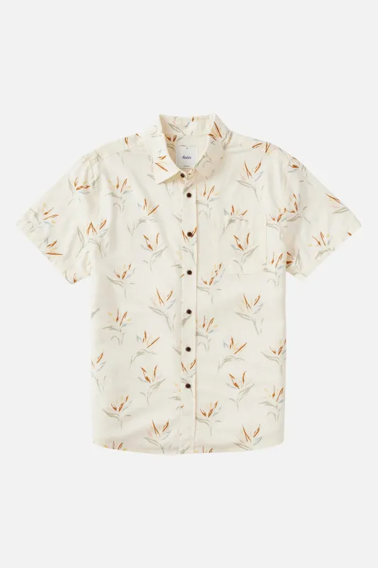 BOYS LILO MULTI SHIRT sold by Katin