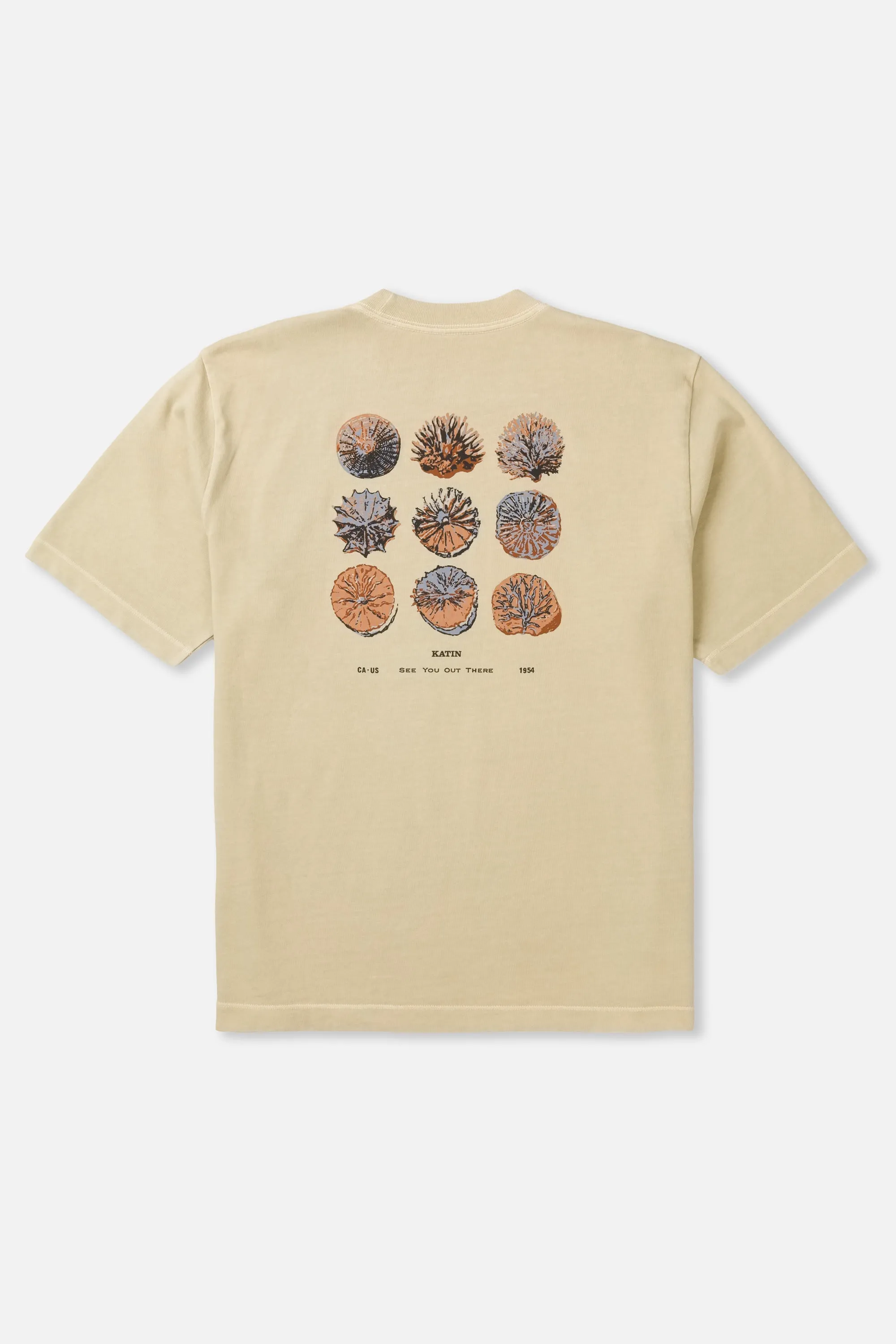 SPECIMEN BOX FIT TEE sold by Katin product image thumbnail 2