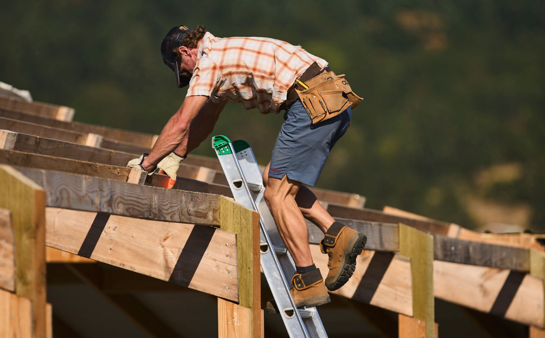 Men's Roswell Mid (Carbon-Fiber Toe) | Almond/Black Olive sold by Keen product image thumbnail 5
