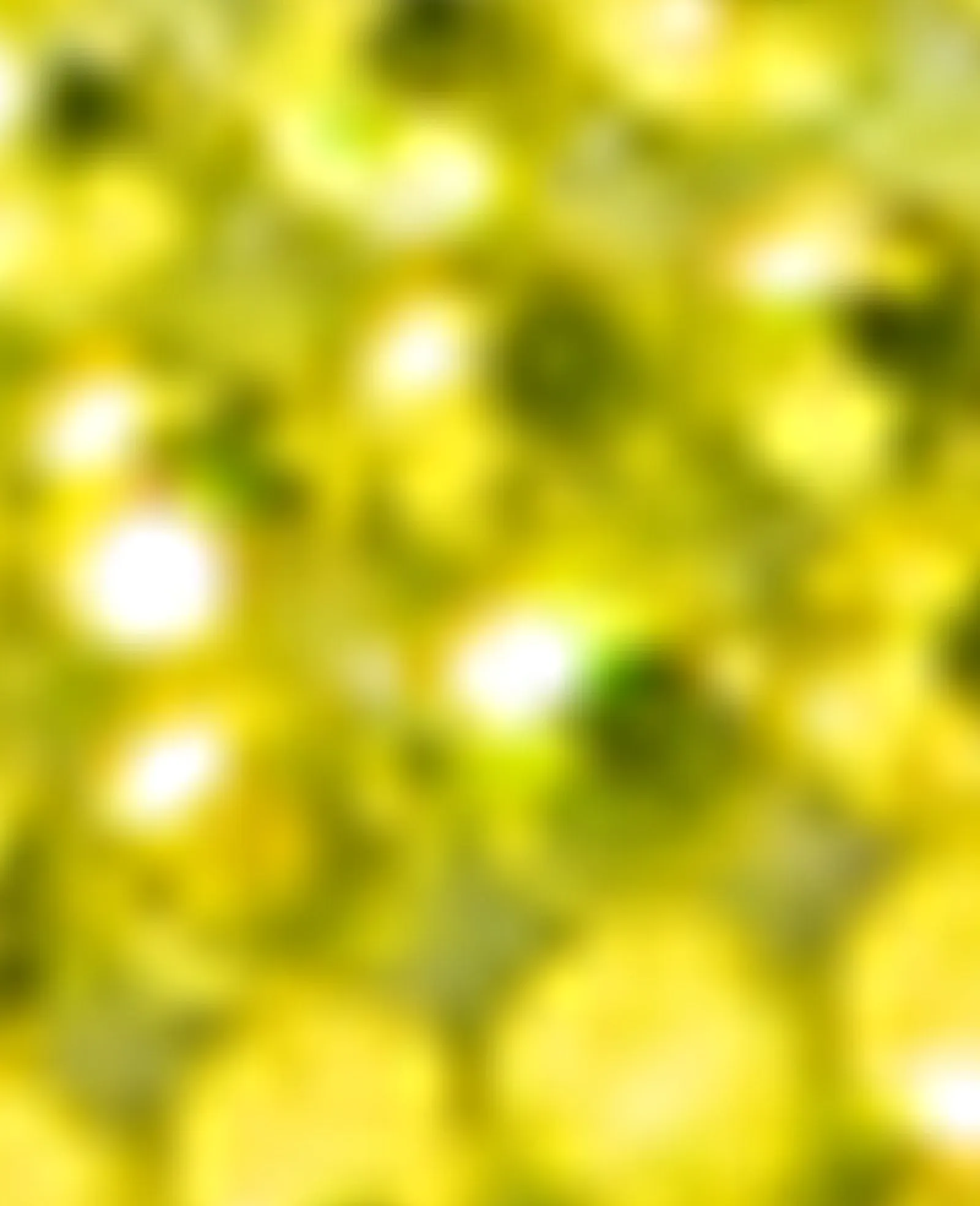 REACTION - Wynwood Jewel Thong Sandal sold by Kenneth Cole product image thumbnail 5