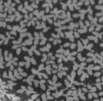 Chill Flowers Sheet Set sold by Kenneth Cole product image thumbnail 5