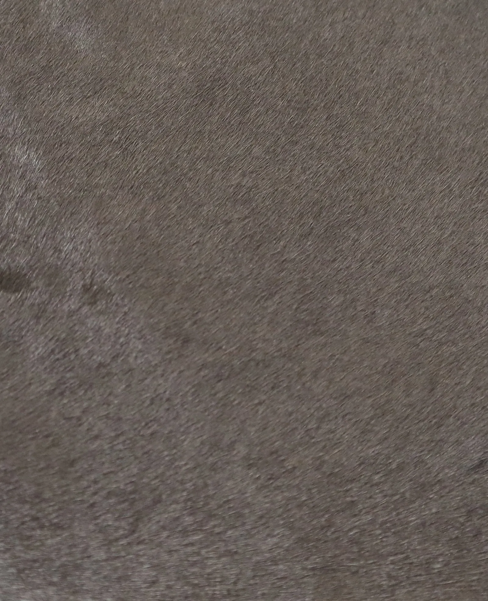 GENTLE SOULS - Wanda Calf Hair Mule Flat sold by Kenneth Cole product image thumbnail 4