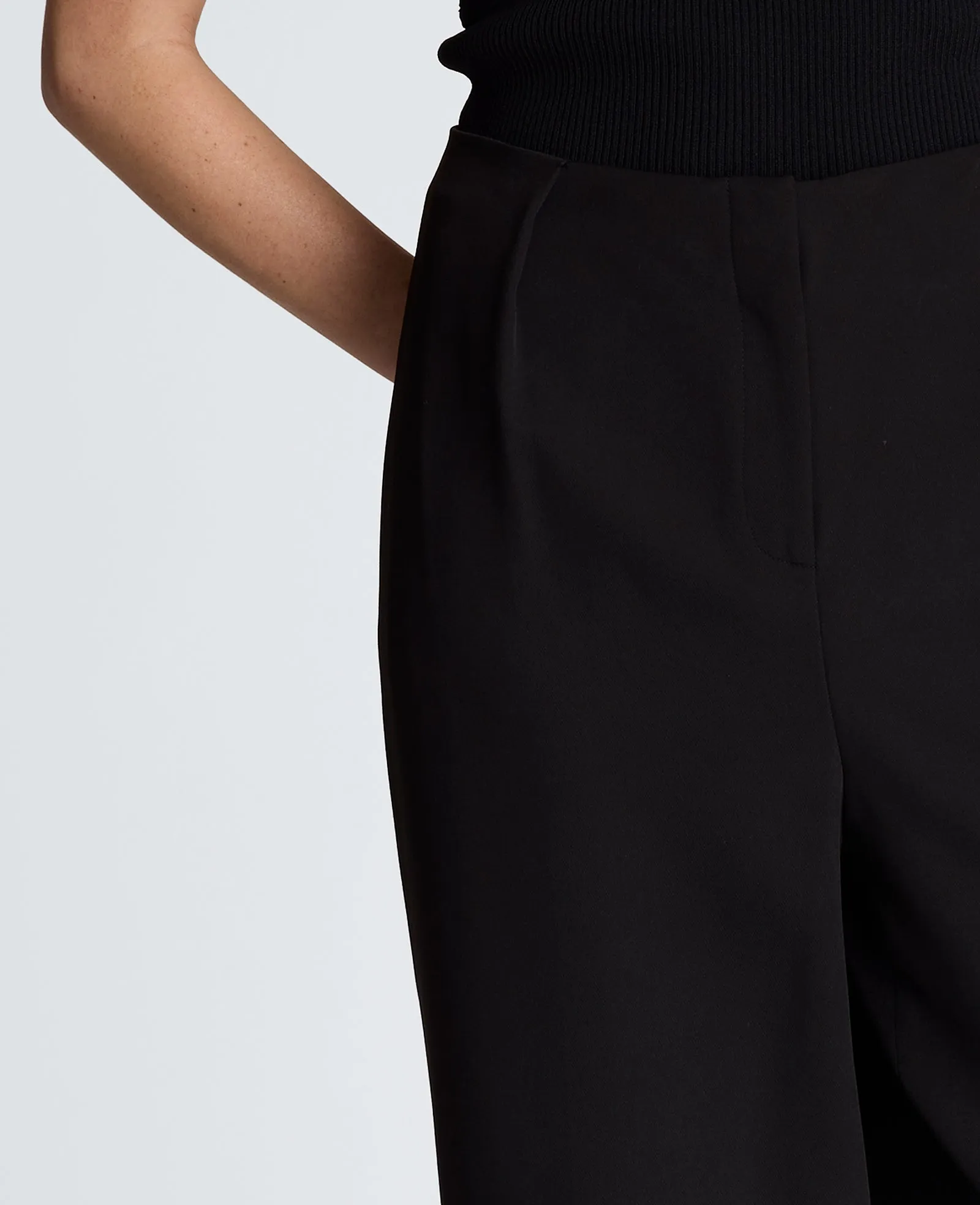 Fly Front Tapered Leg High Waisted Pleated Pant sold by Kenneth Cole product image thumbnail 5
