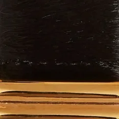 Bambi Belt in Black Haircalf with Gold sold by KHAITE product image thumbnail 3