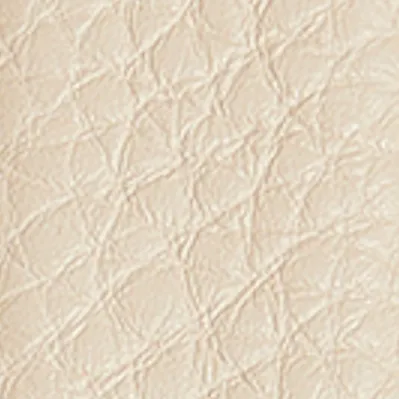 Lucca Belt in Dark Ivory Pebbled Leather with Antique Silver sold by KHAITE product image thumbnail 5