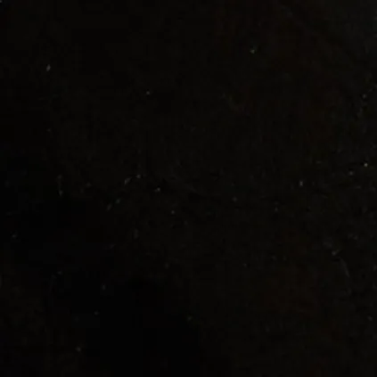 Marion Thong Sandal in Black Leather sold by KHAITE product image thumbnail 5