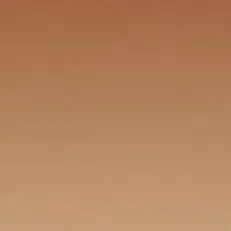 KHAITE x Oliver Peoples 1998C in Gold and Dark Brown sold by KHAITE product image thumbnail 5