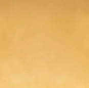 Sculpted Hands Belt in Black Leather with Antique Gold sold by KHAITE product image thumbnail 5