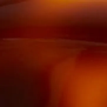 KHAITE x Oliver Peoples 1966C in Dark Mahogany and Brown sold by KHAITE product image thumbnail 5