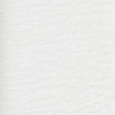 Bambi Belt in Optic White Leather with Silver sold by KHAITE product image thumbnail 4