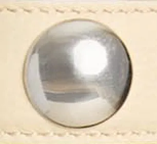 Benny Belt with Studs in Dark Ivory Leather and Silver sold by KHAITE product image thumbnail 4