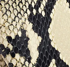 Lina Keychain Pouch in Natural Python-Embossed Leather sold by KHAITE product image thumbnail 5