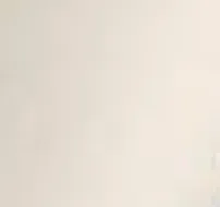 Shadow Right Ear Cuff in Silver sold by KHAITE product image thumbnail 4