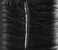 Lucca Belt in Black Croc-Embossed Leather with Silver sold by KHAITE