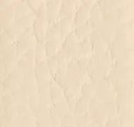 Benny Belt in Dark Ivory Pebbled Leather with Silver sold by KHAITE product image thumbnail 3