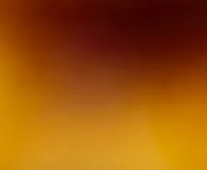 KHAITE x Oliver Peoples 1961C in Dark Mahogany and Brown sold by KHAITE product image thumbnail 4