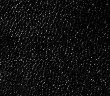 Loulou Flat Sandal in Black Leather sold by KHAITE product image thumbnail 5