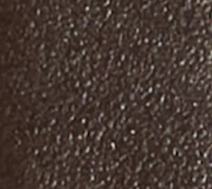 Luna Belt in Dark Umber Leather with Silver sold by KHAITE product image thumbnail 3