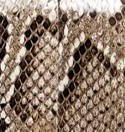 Blake Crossbody Bag in Natural Python sold by KHAITE product image thumbnail 2