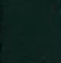 Cate Bag in Hunter Green Alligator sold by KHAITE product image thumbnail 4