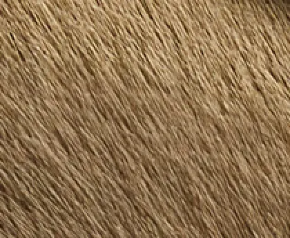 Britt Clog in Barley Haircalf sold by KHAITE product image thumbnail 5