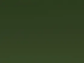 KHAITE x Oliver Peoples 1994C in Gold and Green sold by KHAITE product image thumbnail 4