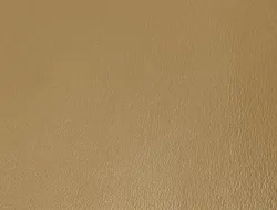 Malone Jacket in Golden Ochre Leather with Shearling Collar sold by KHAITE product image thumbnail 2