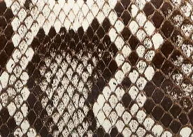 Jane Flat in Natural Python sold by KHAITE product image thumbnail 5