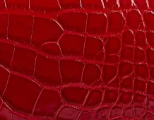 Miles Loafer in Ruby Alligator sold by KHAITE product image thumbnail 5