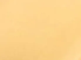 Leaf Earrings in Gold sold by KHAITE product image thumbnail 4