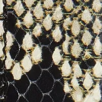 Benny Belt in Natural Python-Embossed Leather with Antique Silver sold by KHAITE product image thumbnail 3