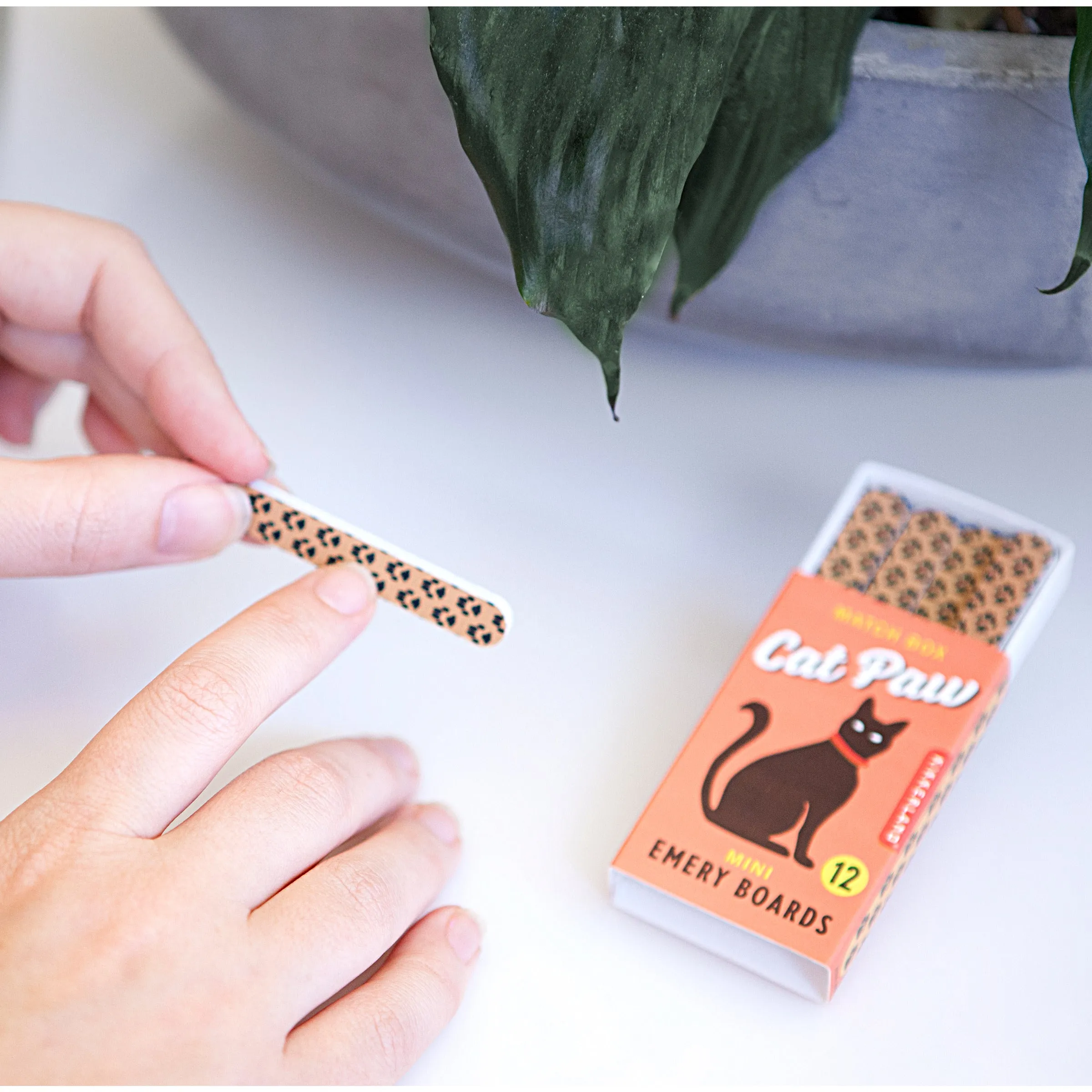 Cat Paw Match Box Emery Boards sold by Kikkerland product image thumbnail 3