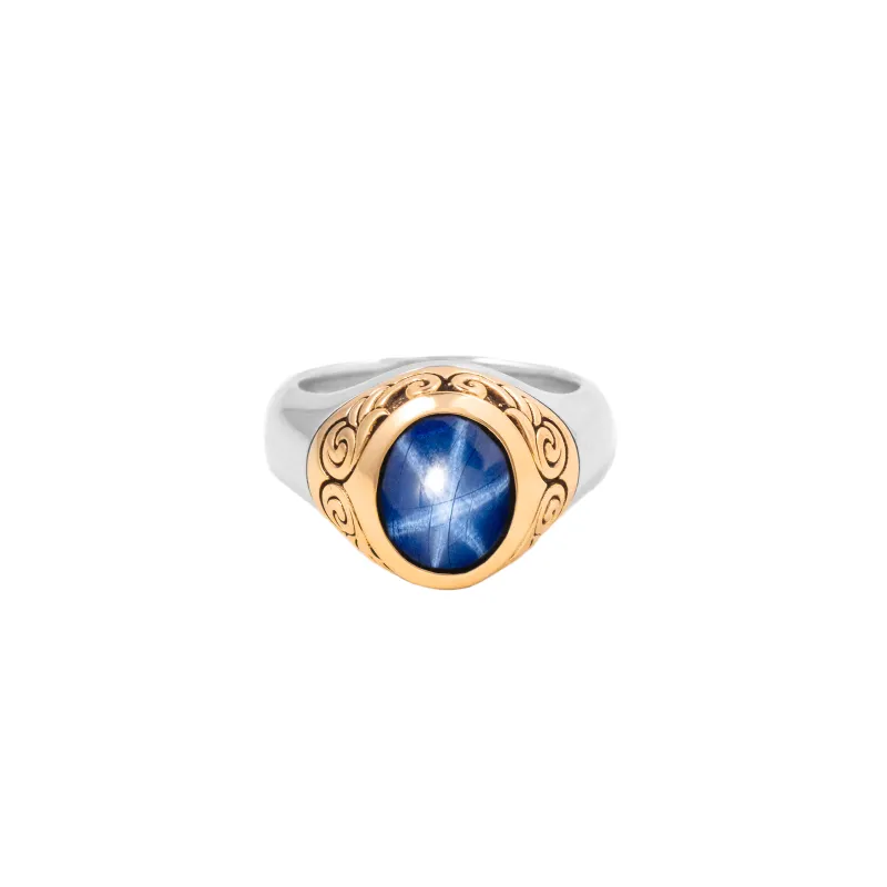 Sapphire Oval Stone Ring w/ 10K Gold Wing Detail sold by King Baby Studio