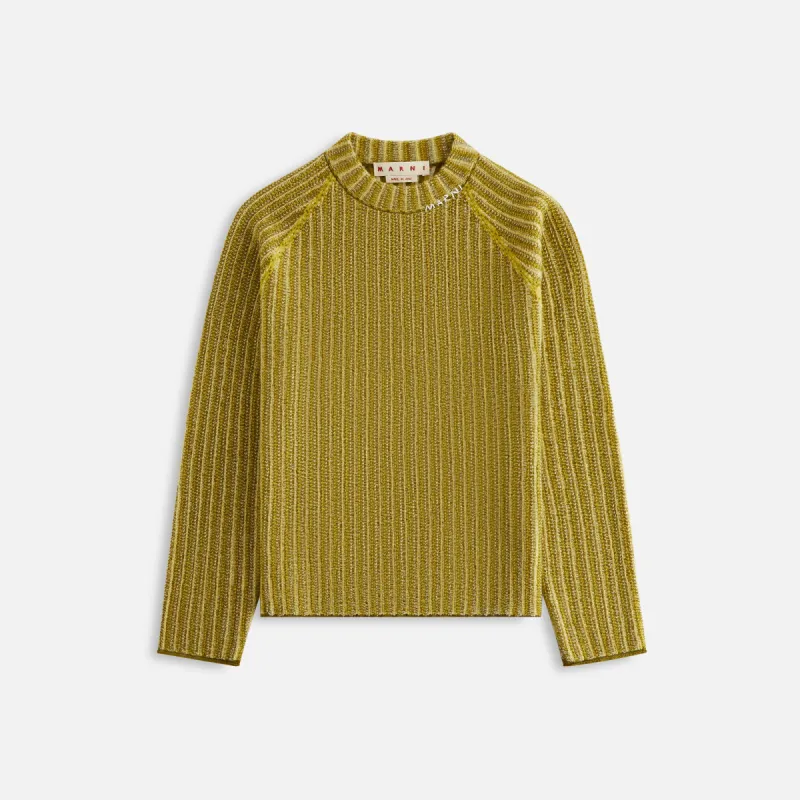 Marni Green Jumper with Degrade Stripes - Citronelle sold by Kith