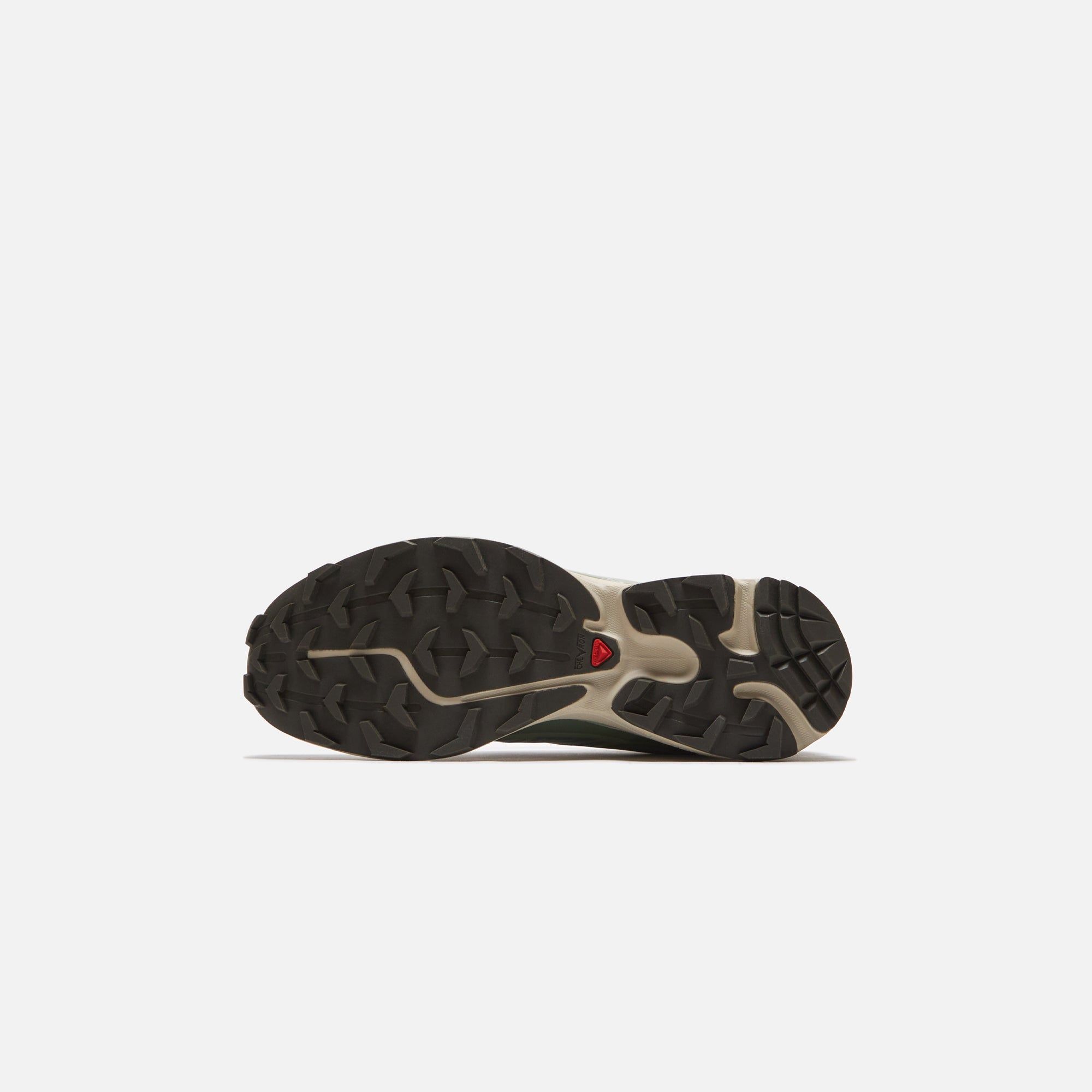 靴 SALOMON XT-6 Laurel Wreath/Lily/Desert Salomon Advanced XT-6 | Laurel Wreath/Lily Pad/Desert