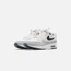 Nike Air Max 1 - Platinum Tint / Wolf Grey / Dark Obsidian sold by Kith