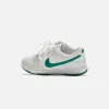 Nike Dunk Low Retro - Summit White / Malachite / Platinum sold by Kith