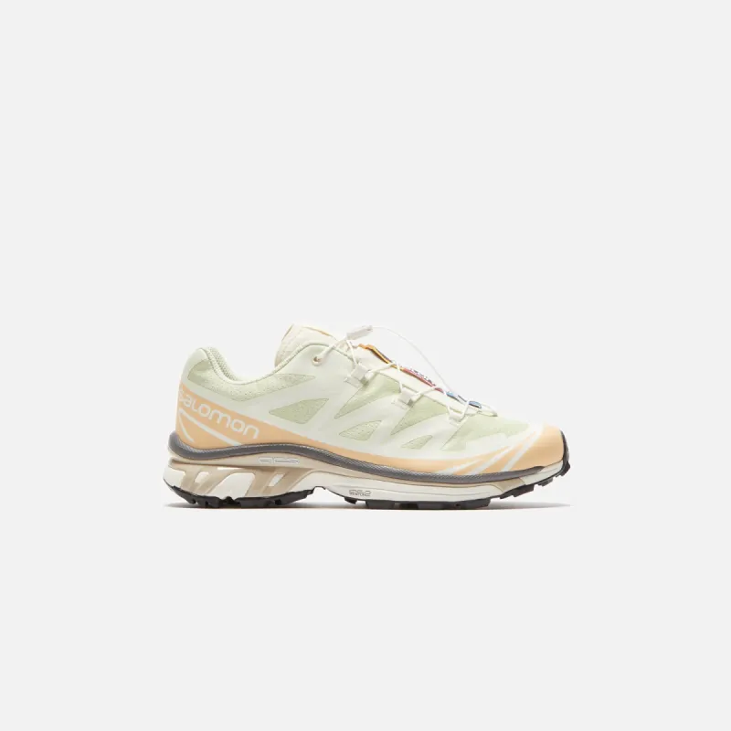Salomon XT-6 - Aloe Wash / Hazelnut / Feather Gray sold by Kith