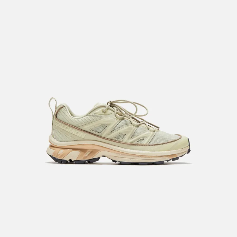 Salomon XT-6 Expanse - Alfalfa / Shortbread / Aloe Wash sold by Kith