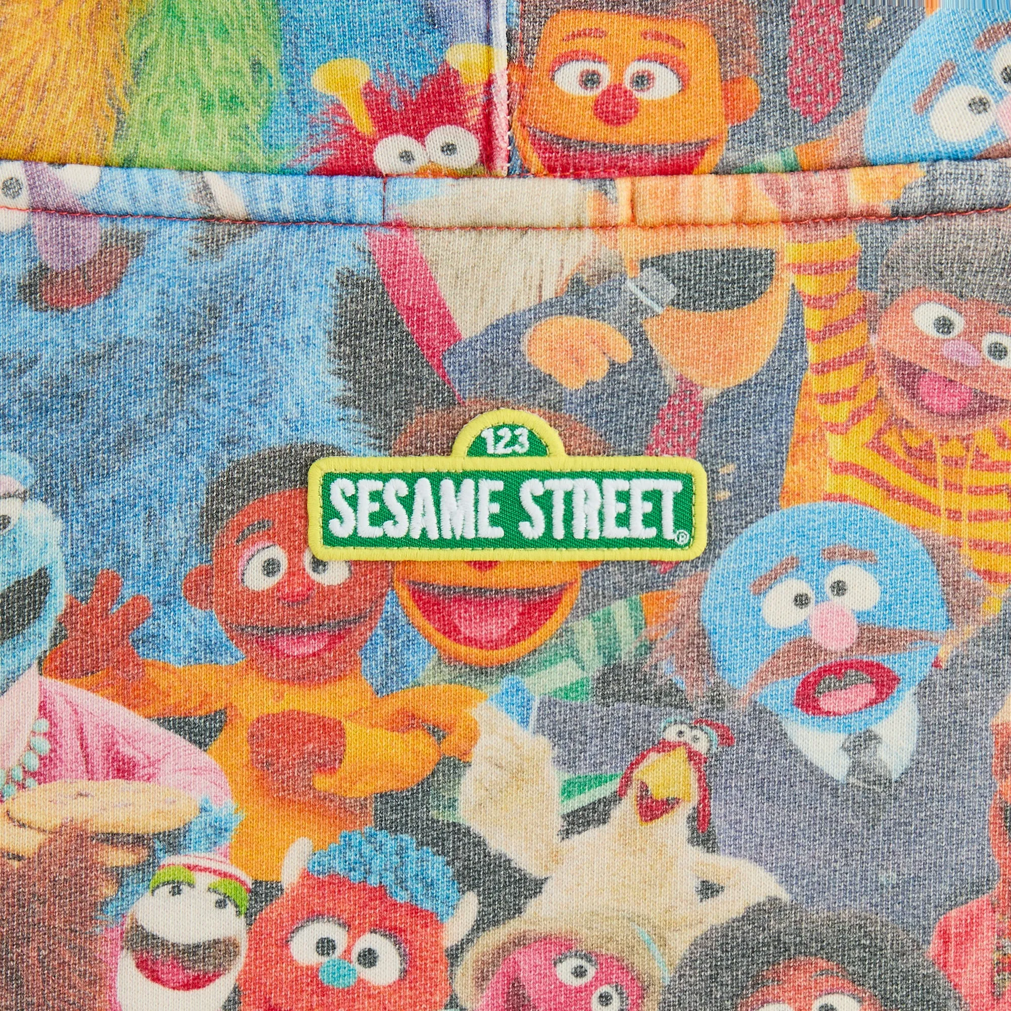 Kith for Sesame Street Family Williams III Hoodie - Multi sold by Kith product image thumbnail 4