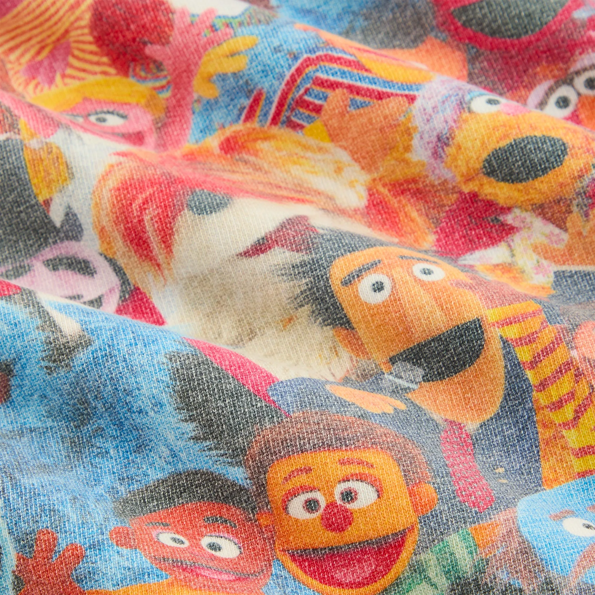 Kith for Sesame Street Family Williams III Hoodie - Multi sold by Kith product image thumbnail 5