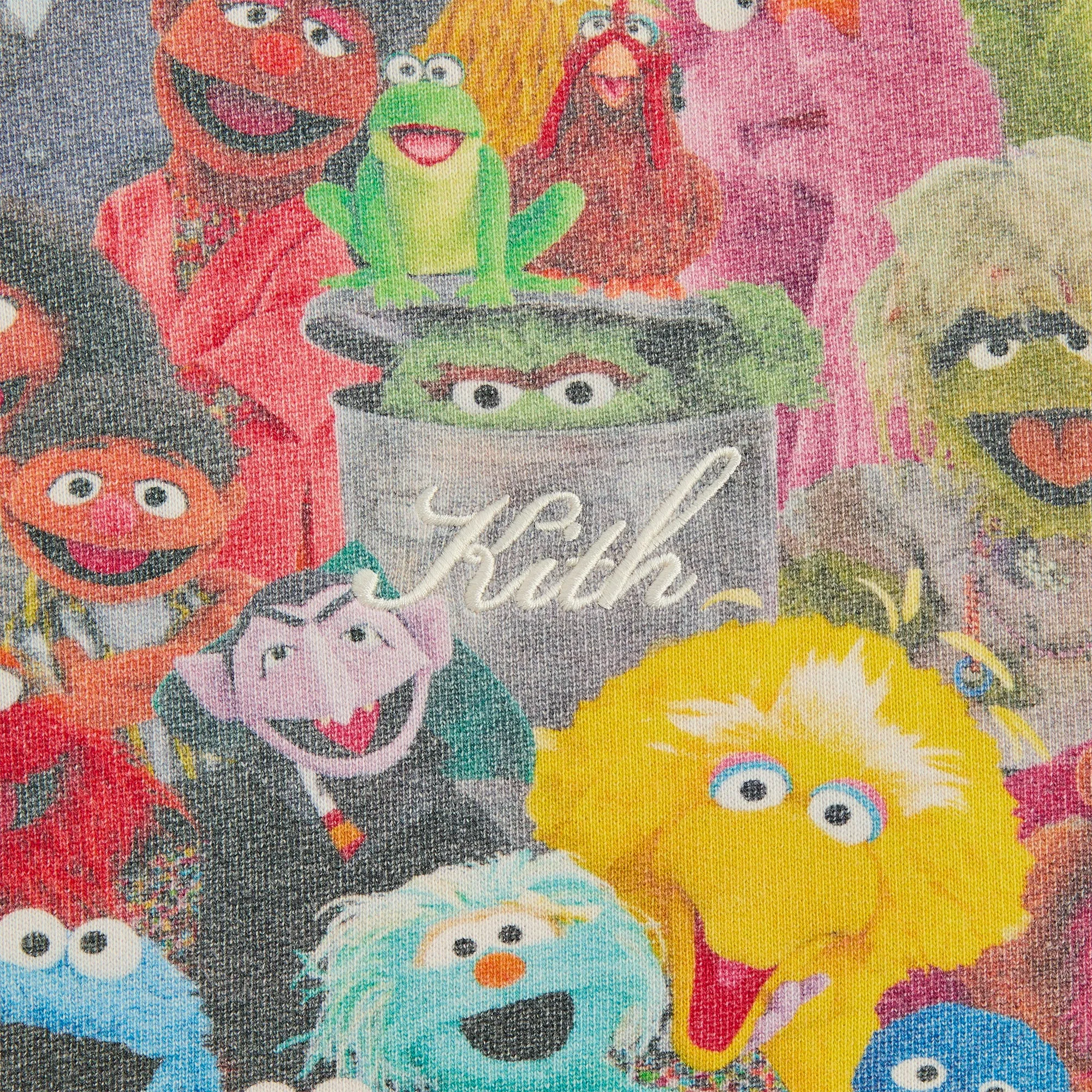 Kith for Sesame Street Family Williams III Hoodie - Multi sold by Kith product image thumbnail 3