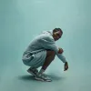 Kith 101 Classic Williams I Hoodie - Fowl sold by Kith